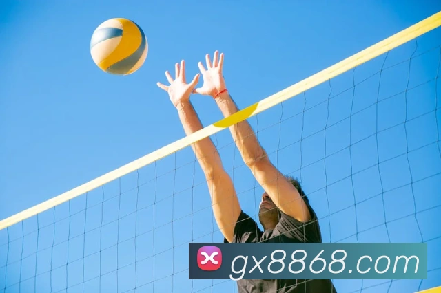 8868体育品牌故事